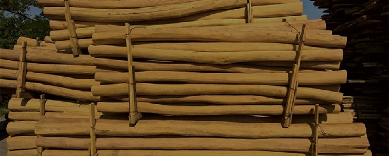 Sapwoodfree sanded robinia poles